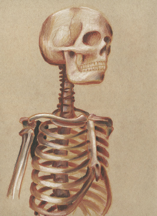 Sombre Skeleton