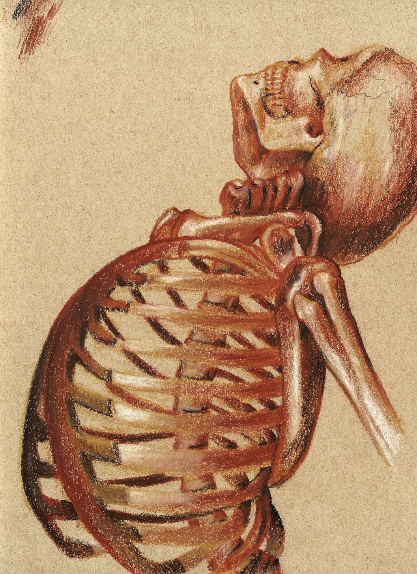 Melancholy Skeleton
